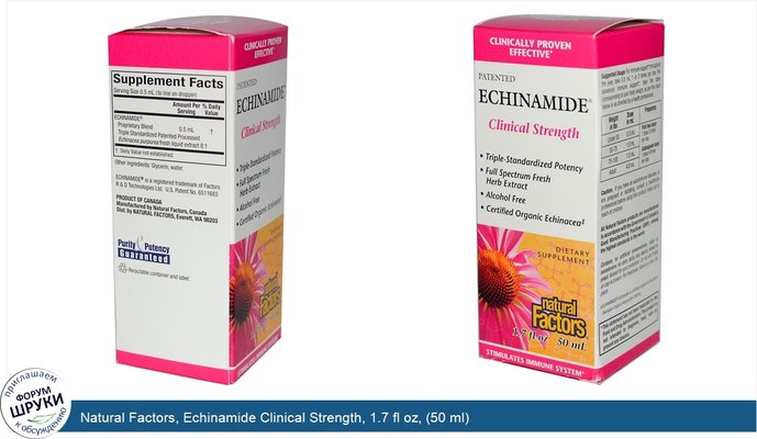 Natural Factors, Echinamide Clinical Strength, 1.7 fl oz, (50 ml)