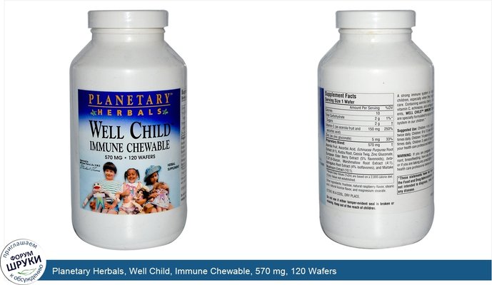 Planetary Herbals, Well Child, Immune Chewable, 570 mg, 120 Wafers