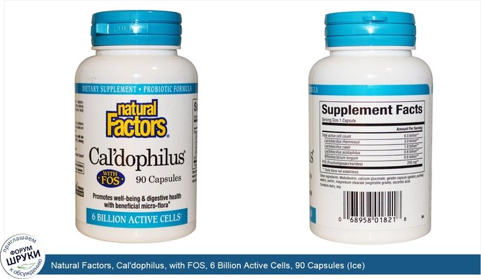Natural Factors, Cal\'dophilus, with FOS, 6 Billion Active Cells, 90 Capsules (Ice)