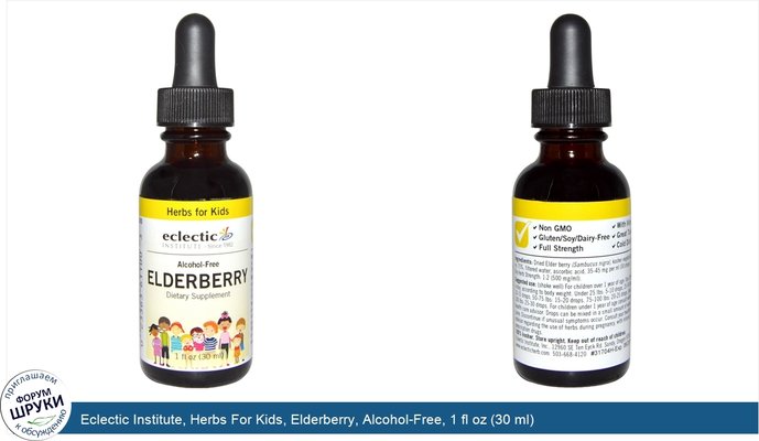 Eclectic Institute, Herbs For Kids, Elderberry, Alcohol-Free, 1 fl oz (30 ml)