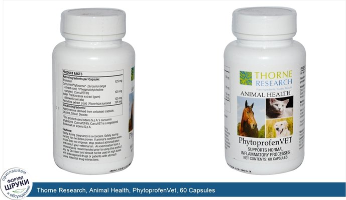 Thorne Research, Animal Health, PhytoprofenVet, 60 Capsules