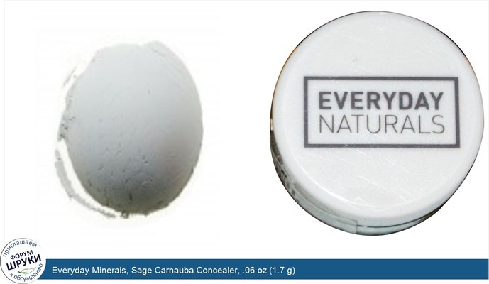 Everyday Minerals, Sage Carnauba Concealer, .06 oz (1.7 g)