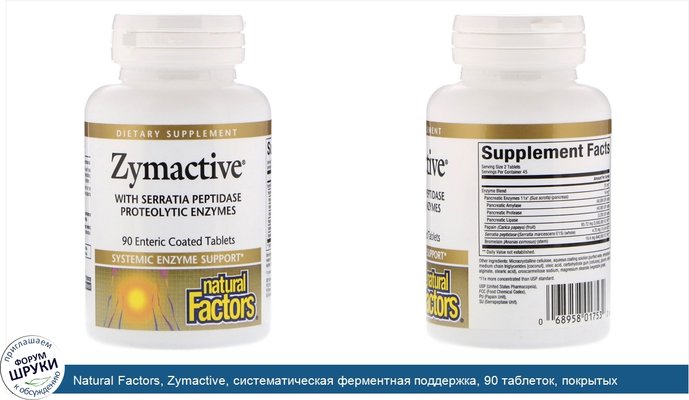 Natural Factors, Zymactive, систематическая ферментная поддержка, 90 таблеток, покрытых кишечнорастворимой оболочкой