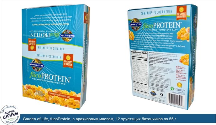 Garden of Life, fucoProtein, с арахисовым маслом, 12 хрустящих батончиков по 55 г