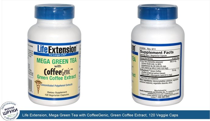 Life Extension, Mega Green Tea with CoffeeGenic, Green Coffee Extract, 120 Veggie Caps