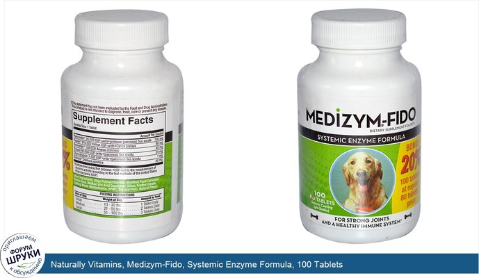 Naturally Vitamins, Medizym-Fido, Systemic Enzyme Formula, 100 Tablets