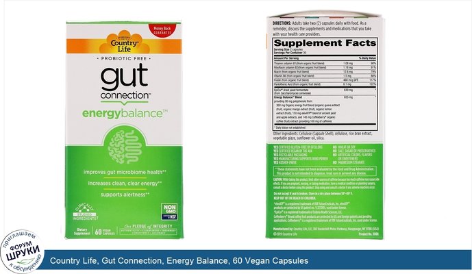 Country Life, Gut Connection, Energy Balance, 60 Vegan Capsules