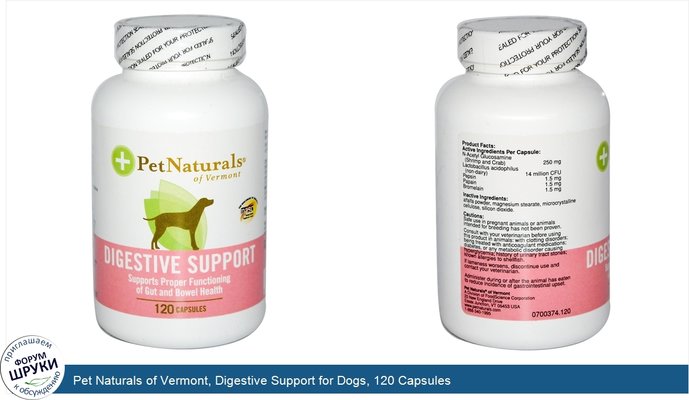 Pet Naturals of Vermont, Digestive Support for Dogs, 120 Capsules