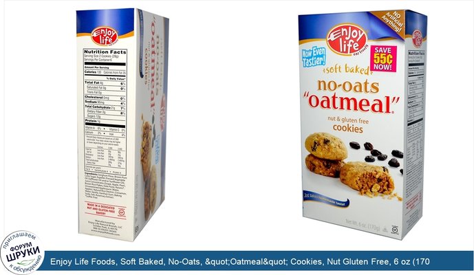 Enjoy Life Foods, Soft Baked, No-Oats, &quot;Oatmeal&quot; Cookies, Nut Gluten Free, 6 oz (170 g)