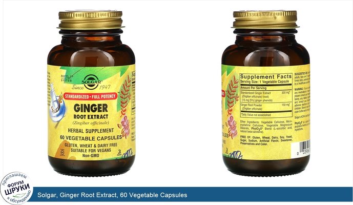 Solgar, Ginger Root Extract, 60 Vegetable Capsules