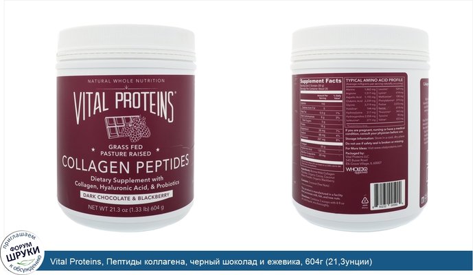 Vital Proteins, Пептиды коллагена, черный шоколад и ежевика, 604г (21,3унции)
