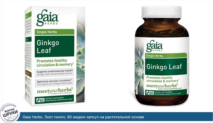 Gaia Herbs, Лист гинкго, 60 жидких капсул на растительной основе