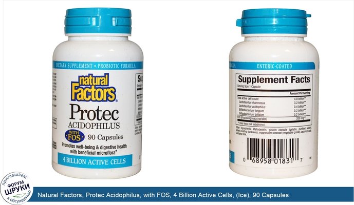 Natural Factors, Protec Acidophilus, with FOS, 4 Billion Active Cells, (Ice), 90 Capsules