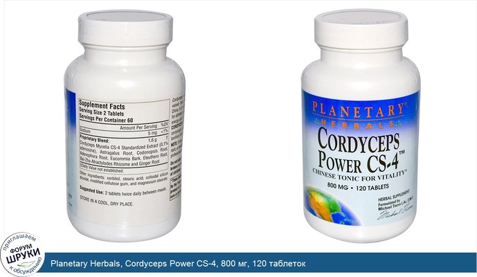 Planetary Herbals, Cordyceps Power CS-4, 800 мг, 120 таблеток