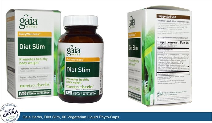 Gaia Herbs, Diet Slim, 60 Vegetarian Liquid Phyto-Caps