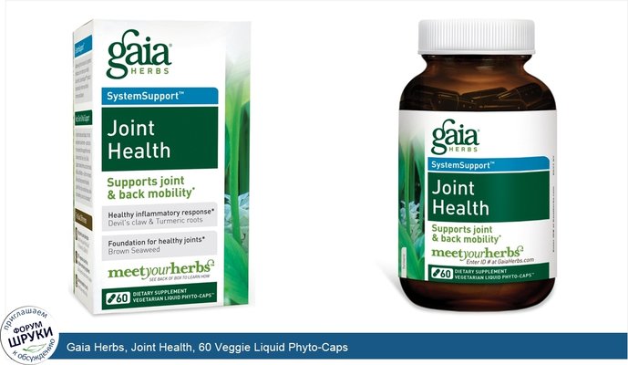 Gaia Herbs, Joint Health, 60 Veggie Liquid Phyto-Caps