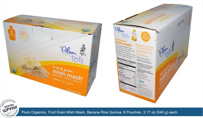 Plum Organics, Fruit Grain Mish Mash, Banana Rice Quinoa, 6 Pouches, 3.17 oz (540 g) each