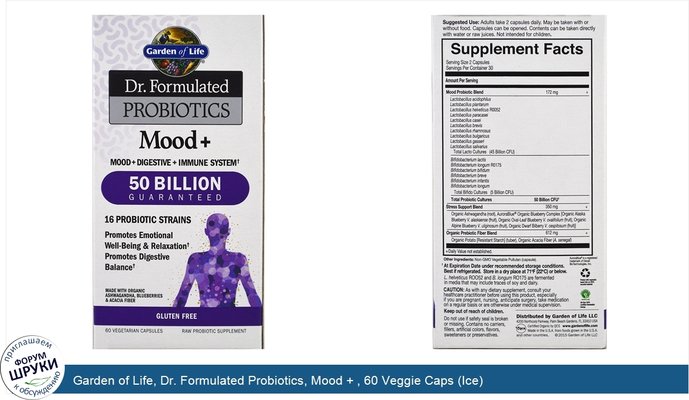 Garden of Life, Dr. Formulated Probiotics, Mood + , 60 Veggie Caps (Ice)