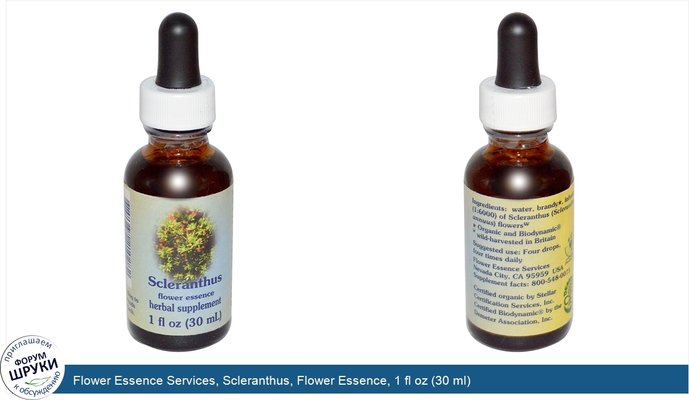 Flower Essence Services, Scleranthus, Flower Essence, 1 fl oz (30 ml)