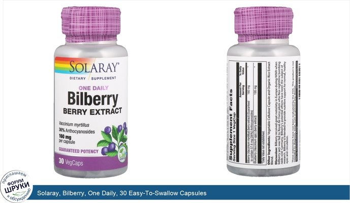 Solaray, Bilberry, One Daily, 30 Easy-To-Swallow Capsules