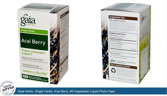 Gaia Herbs, Single Herbs, Acai Berry, 60 Vegetarian Liquid Phyto-Caps