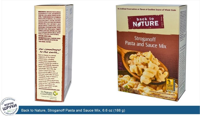 Back to Nature, Stroganoff Pasta and Sauce Mix, 6.6 oz (188 g)