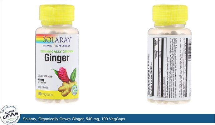 Solaray, Organically Grown Ginger, 540 mg, 100 VegCaps