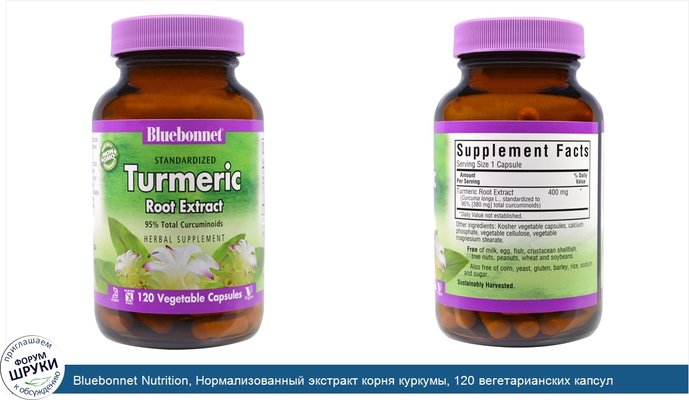 Bluebonnet Nutrition, Нормализованный экстракт корня куркумы, 120 вегетарианских капсул