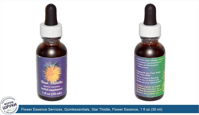 Flower Essence Services, Quintessentials, Star Thistle, Flower Essence, 1 fl oz (30 ml)