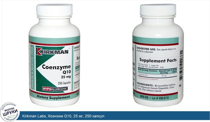 Kirkman Labs, Коэнзим Q10, 25 мг, 250 капсул