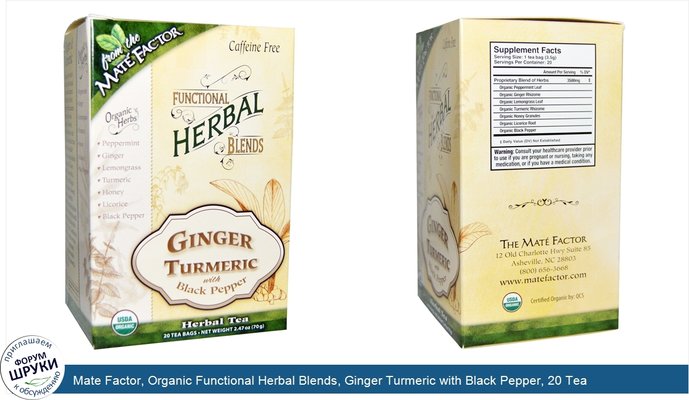 Mate Factor, Organic Functional Herbal Blends, Ginger Turmeric with Black Pepper, 20 Tea Bags, 2.47 oz (70 g)
