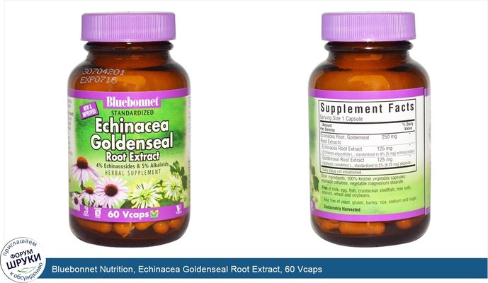 Bluebonnet Nutrition, Echinacea Goldenseal Root Extract, 60 Vcaps