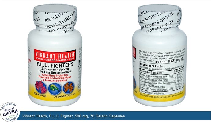 Vibrant Health, F.L.U. Fighter, 500 mg, 70 Gelatin Capsules