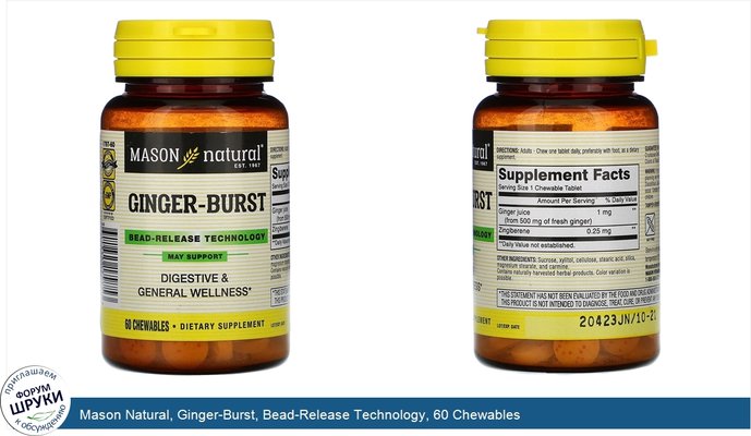 Mason Natural, Ginger-Burst, Bead-Release Technology, 60 Chewables