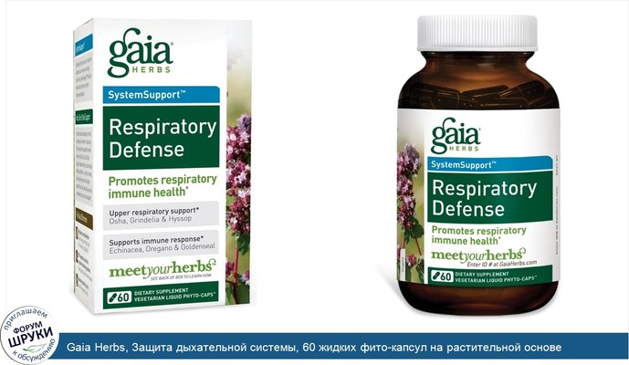 Gaia Herbs, Защита дыхательной системы, 60 жидких фито-капсул на растительной основе