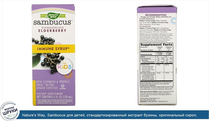 Nature\'s Way, Sambucus для детей, стандартизированный экстракт бузины, оригинальный сироп, 120мл (4жидкихунций)