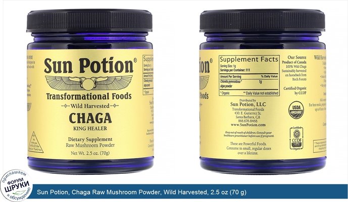 Sun Potion, Chaga Raw Mushroom Powder, Wild Harvested, 2.5 oz (70 g)