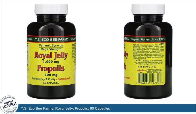 Y.S. Eco Bee Farms, Royal Jelly, Propolis, 60 Capsules