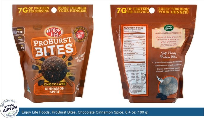 Enjoy Life Foods, ProBurst Bites, Chocolate Cinnamon Spice, 6.4 oz (180 g)