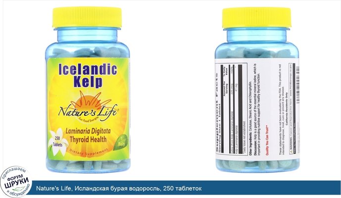 Nature\'s Life, Исландская бурая водоросль, 250 таблеток