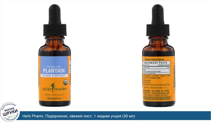 Herb Pharm, Подорожник, свежий лист, 1 жидкая унция (30 мл)