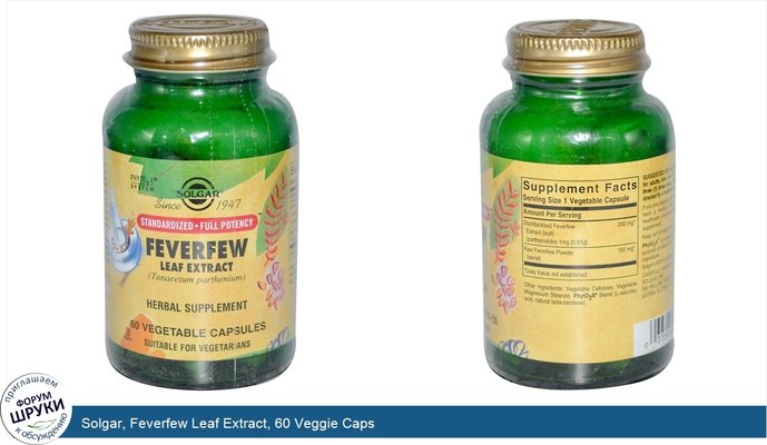Solgar, Feverfew Leaf Extract, 60 Veggie Caps