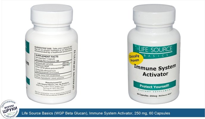 Life Source Basics (WGP Beta Glucan), Immune System Activator, 250 mg, 60 Capsules