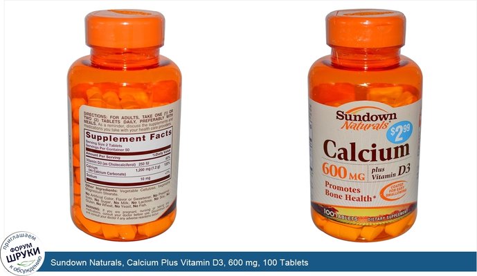 Sundown Naturals, Calcium Plus Vitamin D3, 600 mg, 100 Tablets