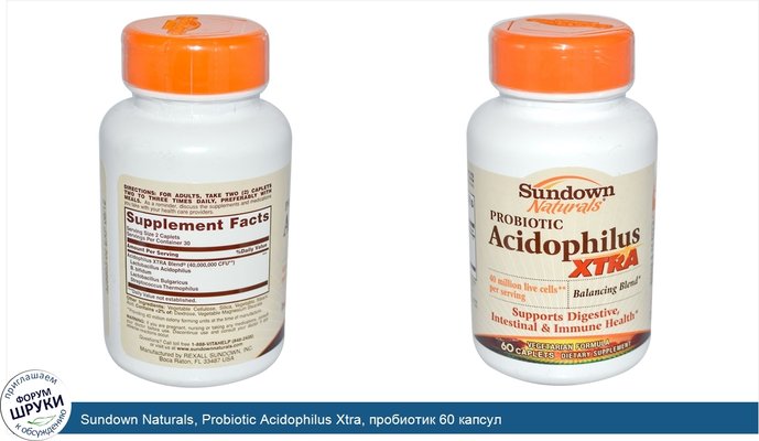 Sundown Naturals, Probiotic Acidophilus Xtra, пробиотик 60 капсул
