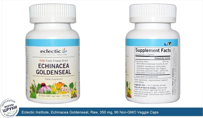 Eclectic Institute, Echinacea Goldenseal, Raw, 350 mg, 90 Non-GMO Veggie Caps