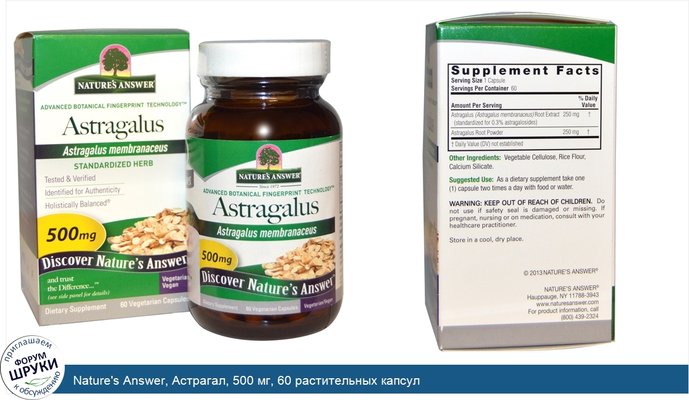 Nature\'s Answer, Астрагал, 500 мг, 60 растительных капсул