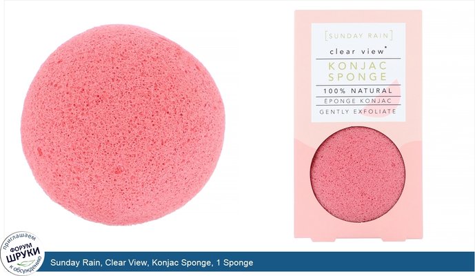 Sunday Rain, Clear View, Konjac Sponge, 1 Sponge