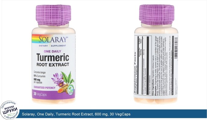 Solaray, One Daily, Turmeric Root Extract, 600 mg, 30 VegCaps