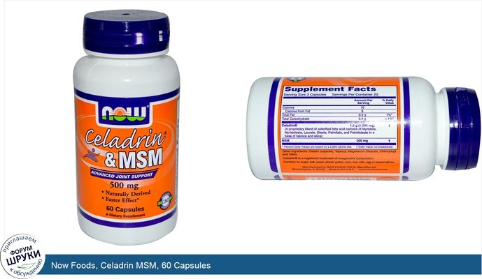 Now Foods, Celadrin MSM, 60 Capsules